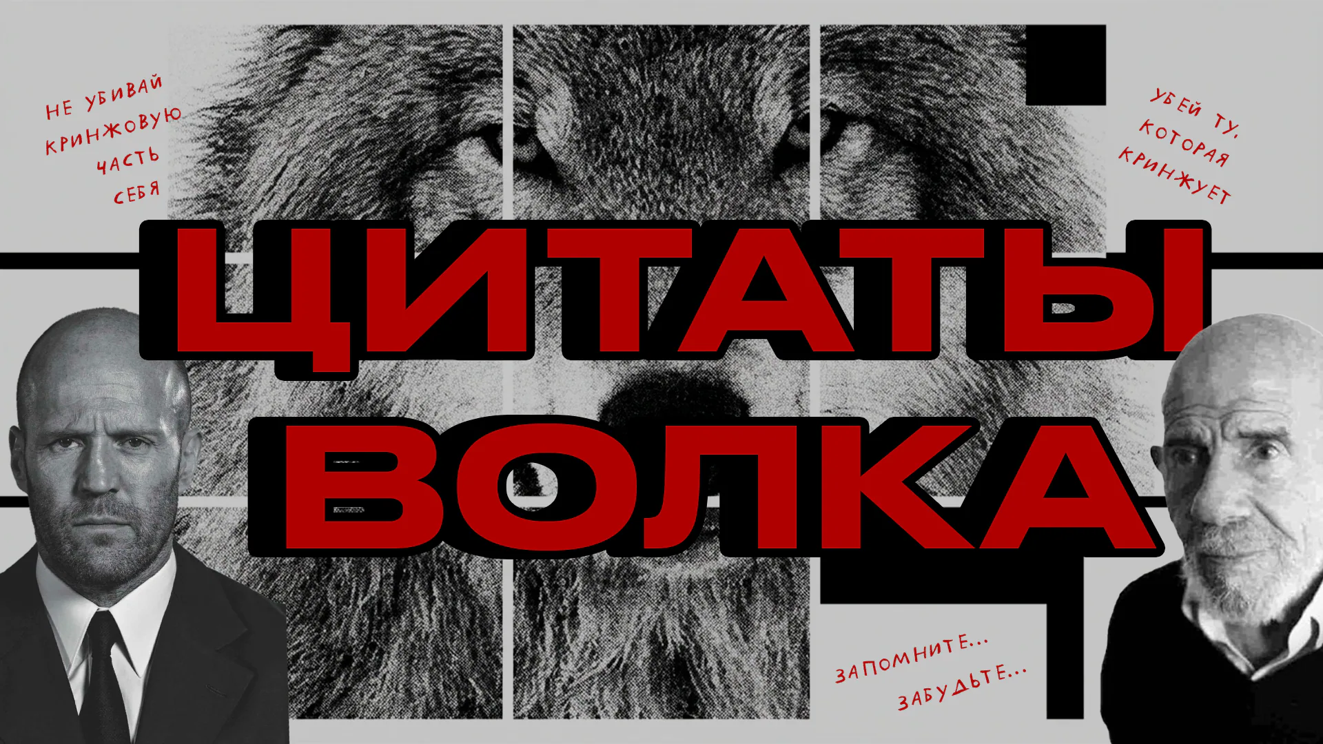 [цитаты волка] #1